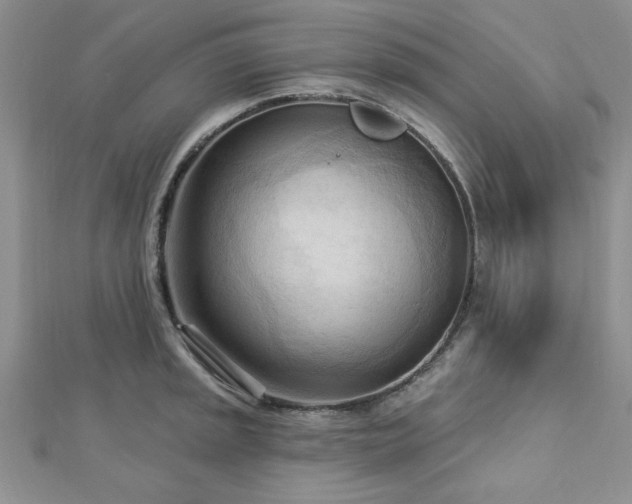 X0000113131045200909041143