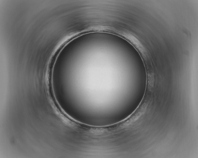 X0000113131046200909041143