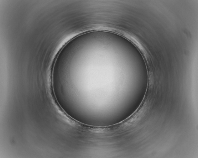 X0000113131048200909041143