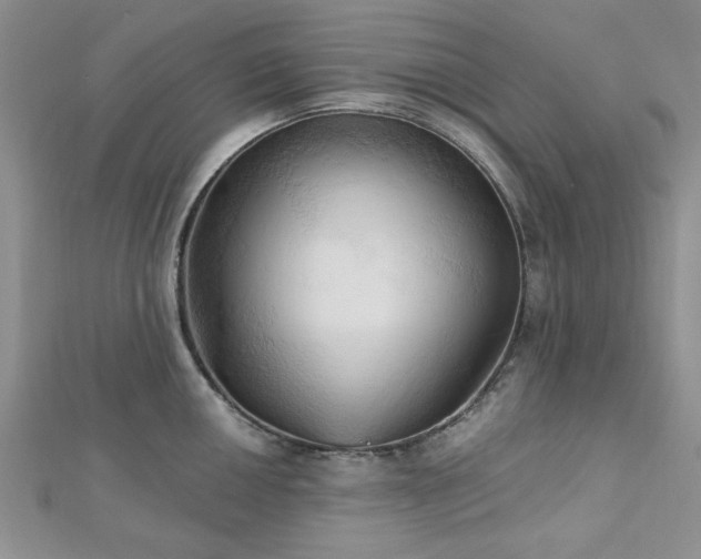 X0000113131050200909041143