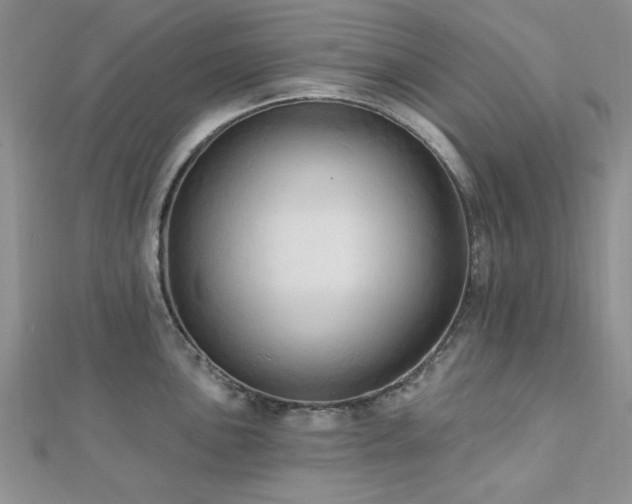 X0000113131051200909041143