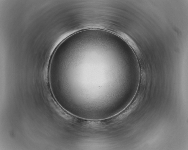 X0000113131052200909041143
