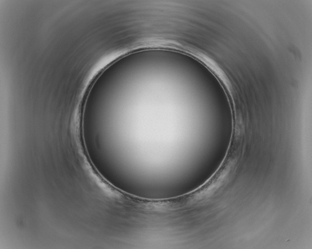 X0000113131053200909041143