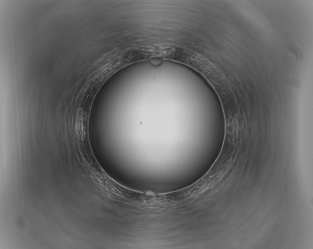X0000113131058200909041143