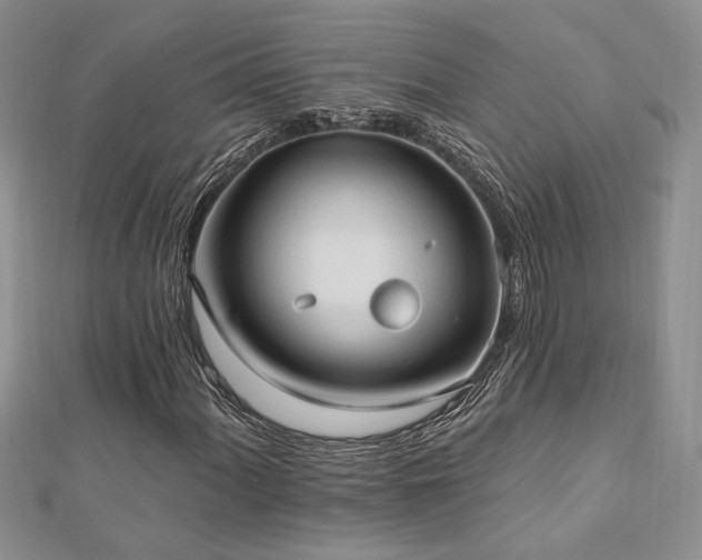 X0000113131060200909041143