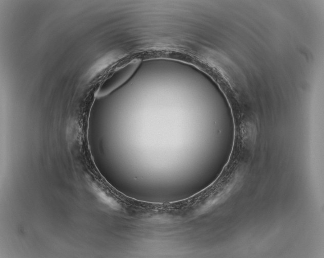 X0000113131064200909041143