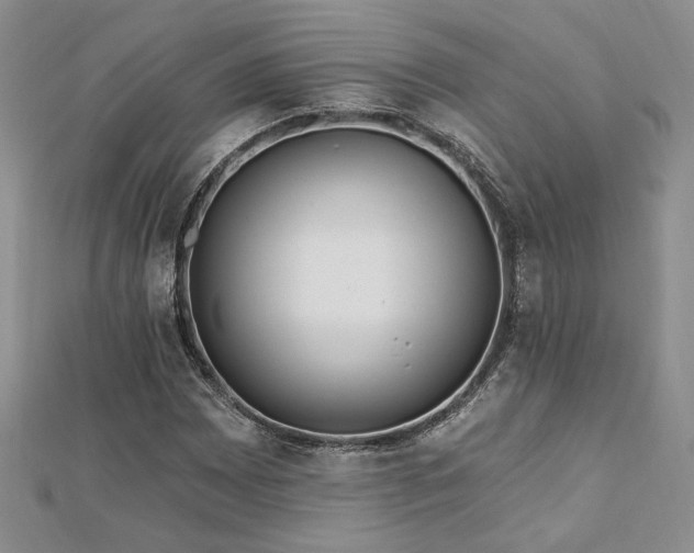 X0000113131065200909041143