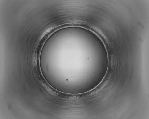 X0000113131067200909041143