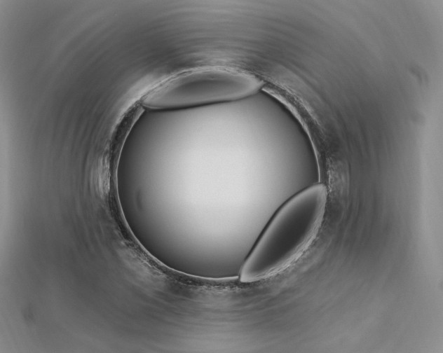 X0000113131069200909041143