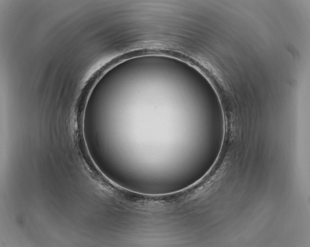 X0000113131070200909041143
