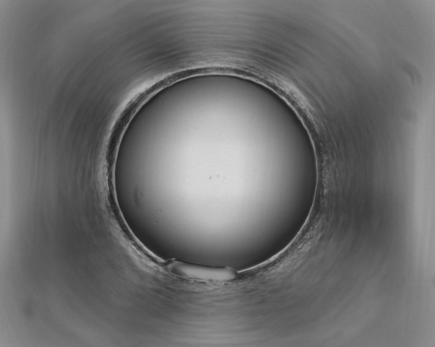X0000113131072200909041143
