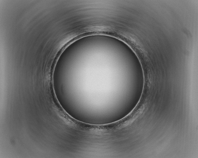 X0000113131073200909041143