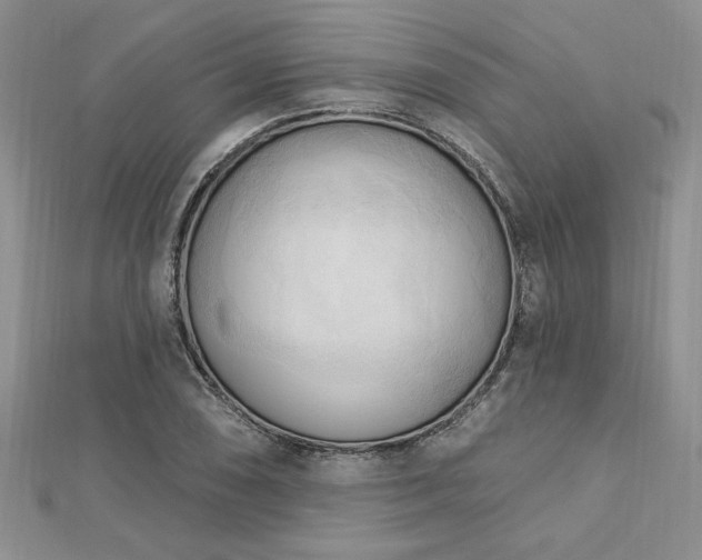 X0000113131074200909041142