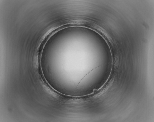 X0000113131075200909041142