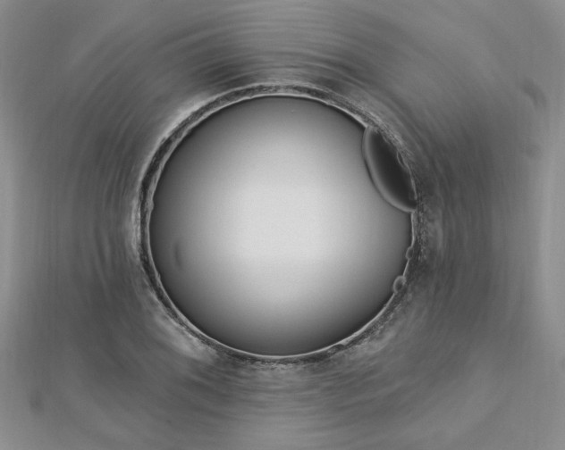 X0000113131076200909041142