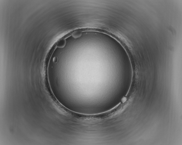 X0000113131077200909041142