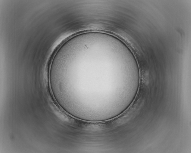 X0000113131078200909041142