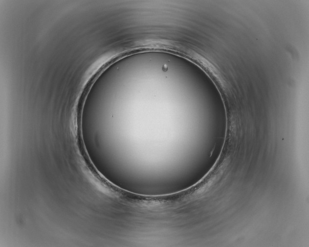 X0000113131082200909041142