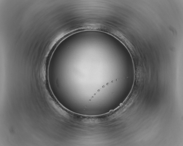 X0000113131083200909041142