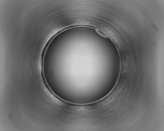 X0000113131084200909041142
