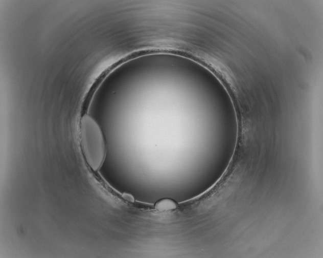 X0000113131085200909041142