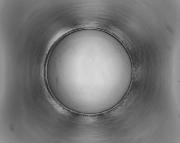 X0000113131086200909041142