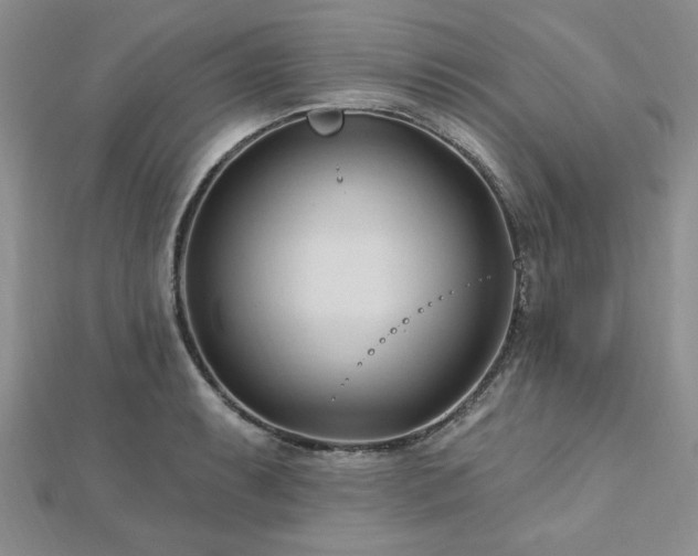 X0000113131087200909041142
