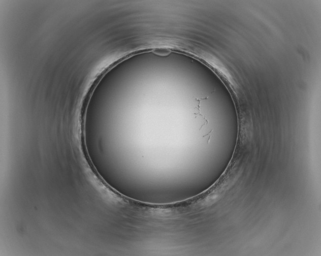 X0000113131088200909041142