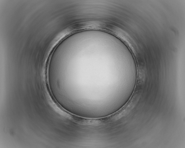 X0000113131090200909041142