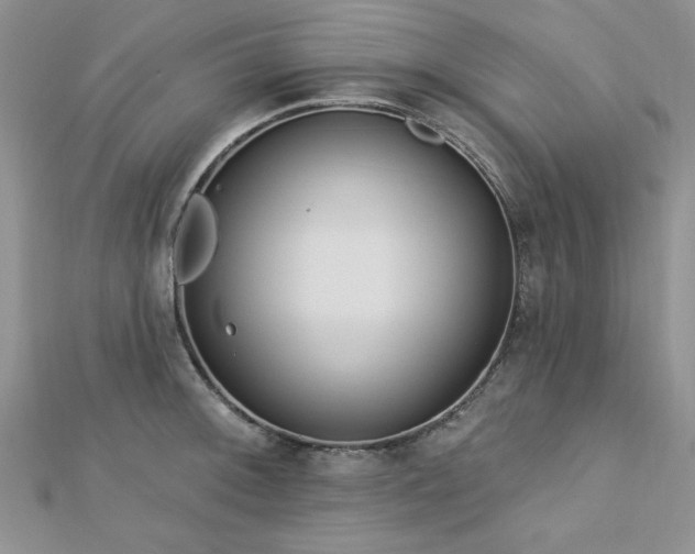X0000113131092200909041142