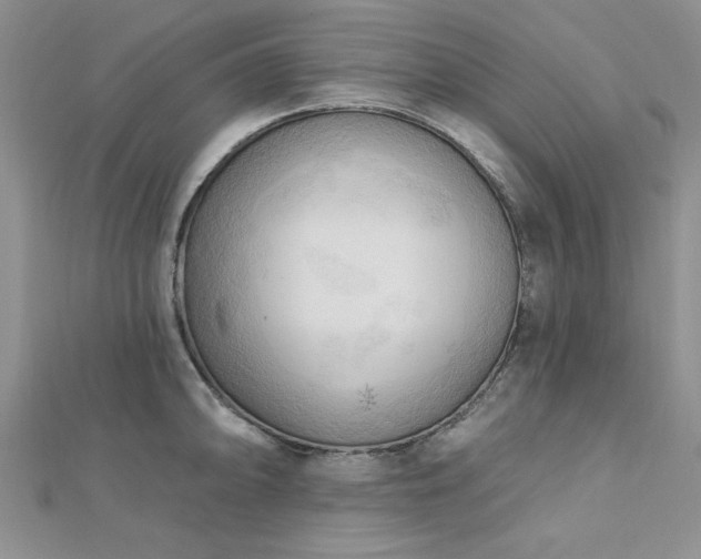 X0000113131094200909041142