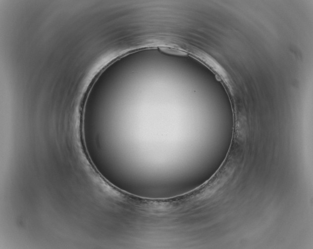 X0000113131096200909041142
