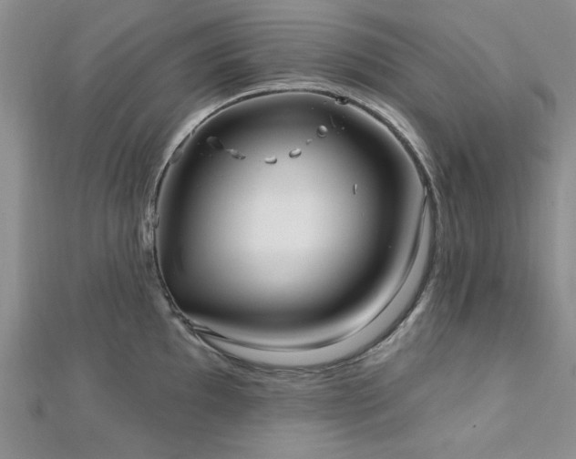 X0000113131097200909041142