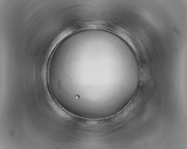 X0000113131098200909041142
