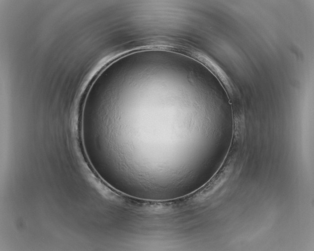 X0000113131099200909041142