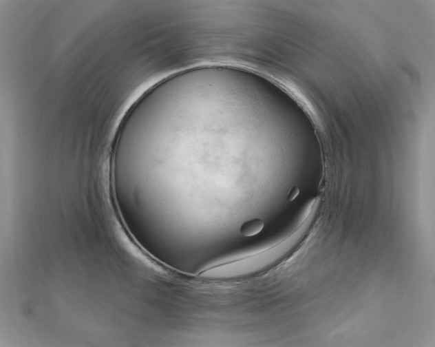 X0000113131100200909041142