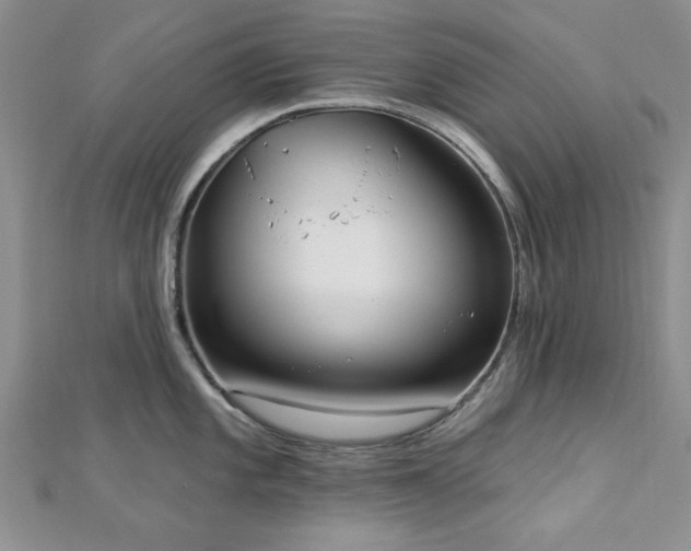 X0000113131101200909041142