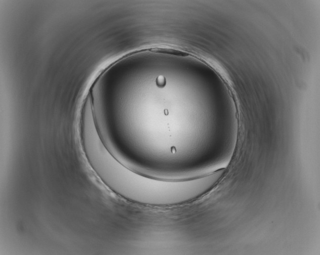 X0000113131104200909041142