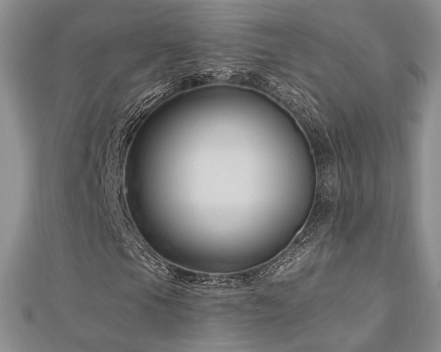 X0000113131105200909041141