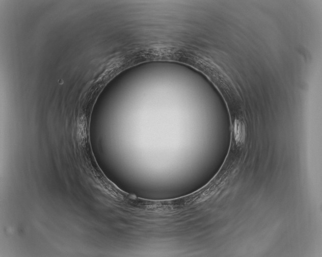X0000113131107200909041141