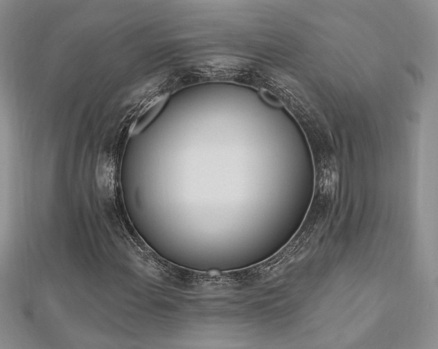 X0000113131108200909041141