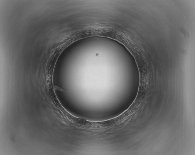 X0000113131109200909041141