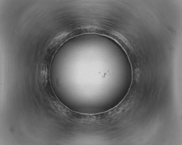 X0000113131111200909041141