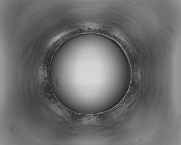 X0000113131112200909041141