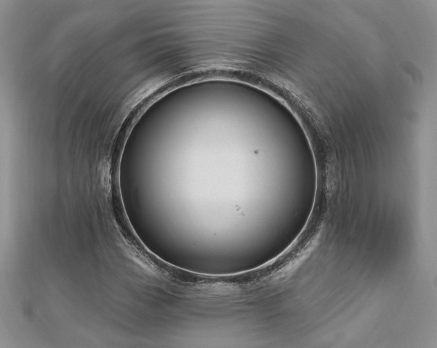 X0000113131113200909041141