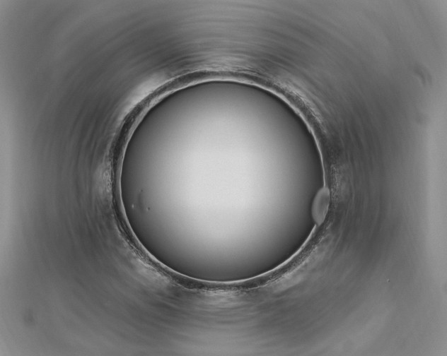 X0000113131114200909041141