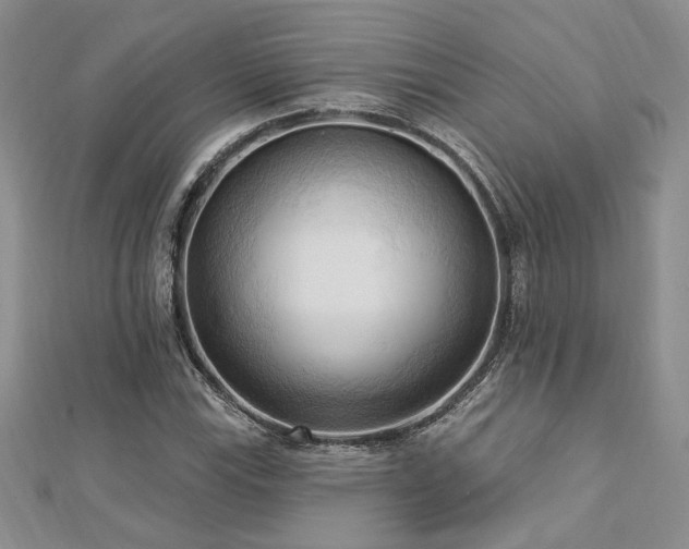 X0000113131115200909041141