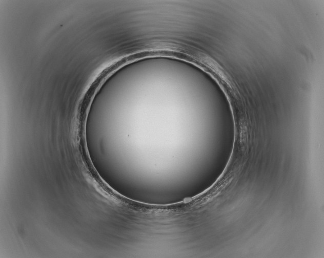 X0000113131116200909041141