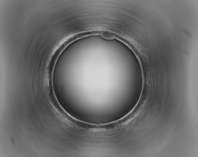 X0000113131118200909041141