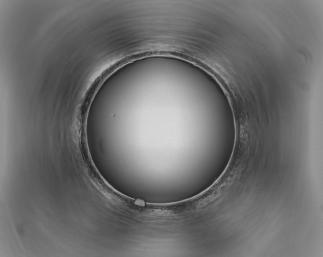 X0000113131119200909041142